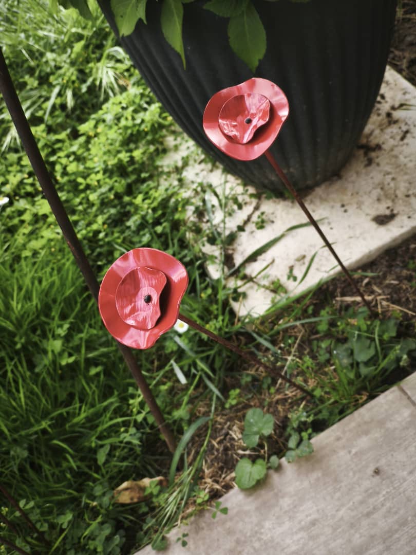 Coquelicot sophistiqué